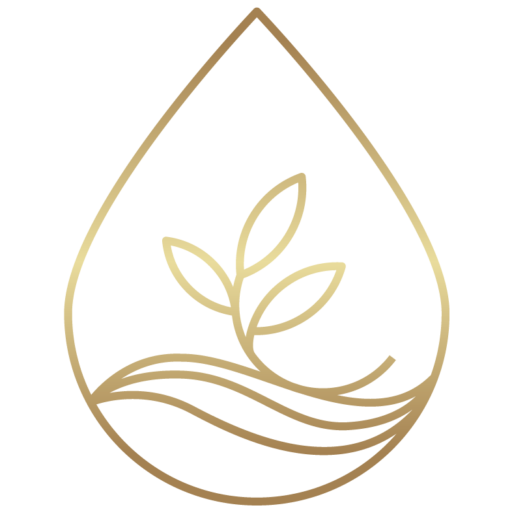 Willow Water Wellness IV Walker IV Therapy Near Me